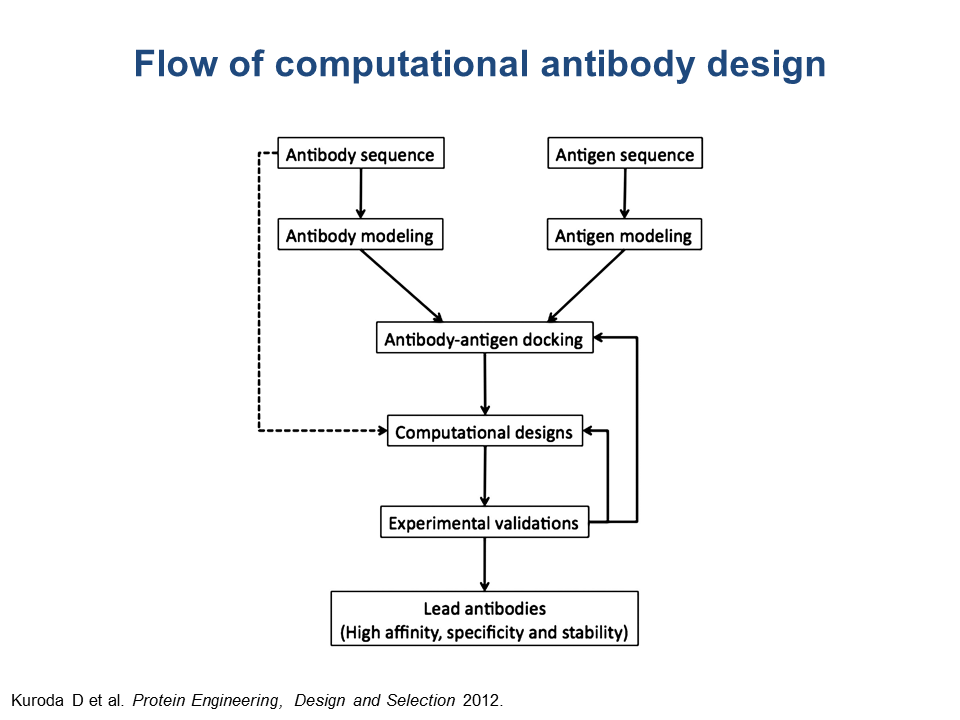 Antibody Chart
